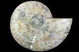 Agatized Ammonite Fossil (Half) - Madagascar #88194-1